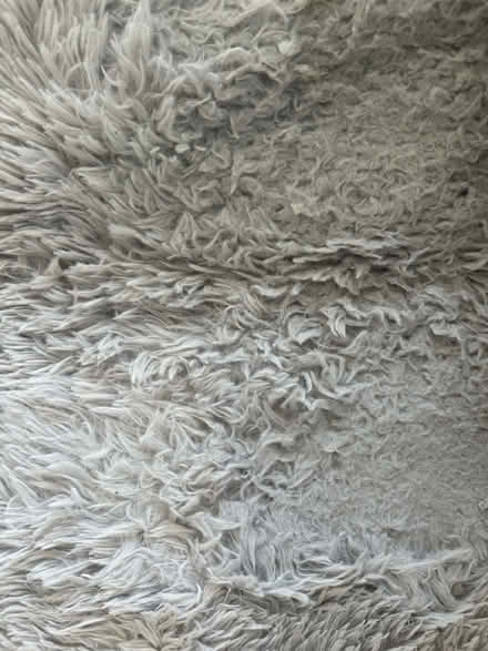 Photo of free Grey shaggy rug (Borehamwood, WD6) #2