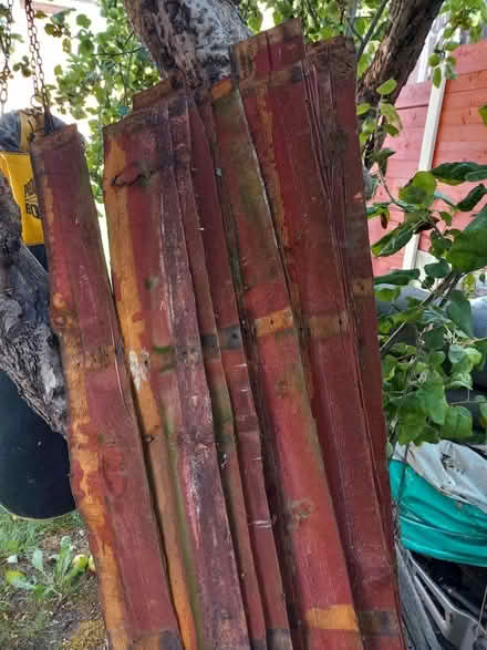 Photo of free firewood (Oxford OX4) #2