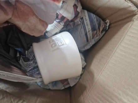 Photo of free Kitchen cups (ME7) #2