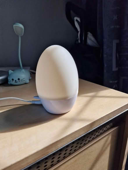 Photo of free Gro egg (WA2) #2