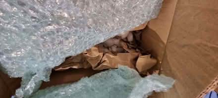 Photo of free Biodegradable Packaging (Bevendean BN2) #2