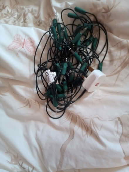 Photo of free Christmas tree lights (Askham CA10) #1