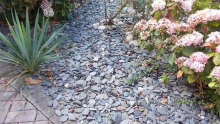 Photo of free dark coloured decorative slate chips for garden (North Ascot SL5) #1