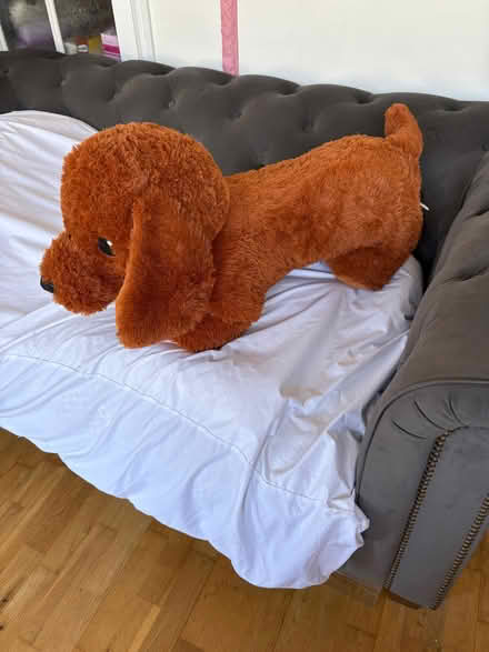 Photo of free Soft toy (Palmers Green N13) #1