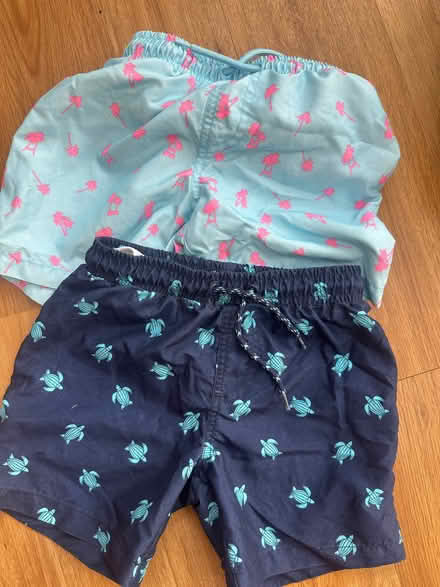 Photo of free Swim shorts & lunch box (Lexden CO3) #3