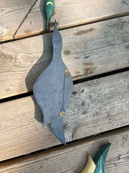 Photo of free Flying ducks. Novelty (Shoreham-by-sea) #2