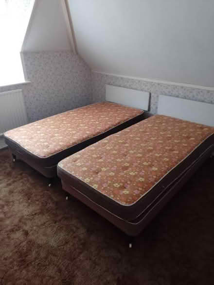Photo of free Single Beds (CT9) #1