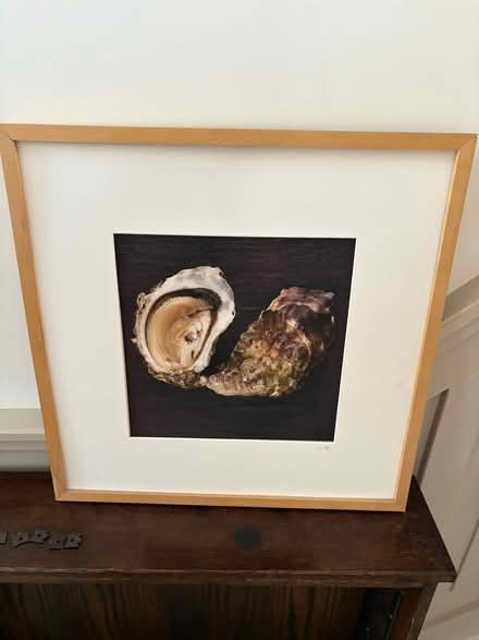 Photo of free Photograph of Oysters (Chiswick W4) #1