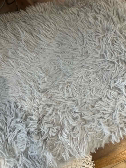 Photo of free Grey shaggy rug (Borehamwood, WD6) #1