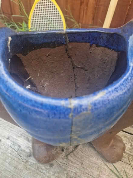 Photo of free Plant pot (Polegate BN26) #2