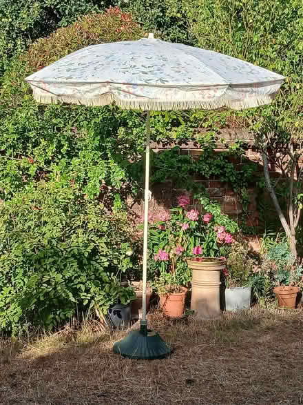 Photo of free Parasol (University Area RG1) #2