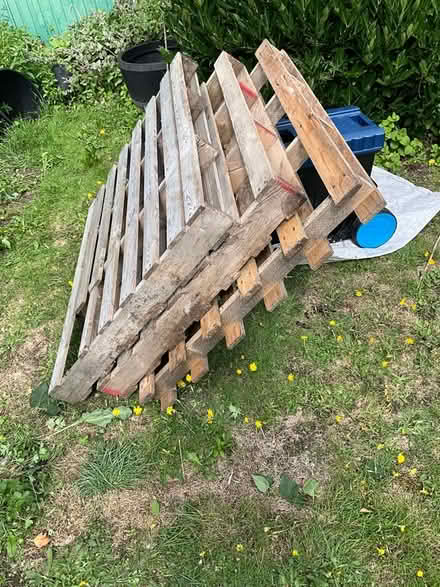 Photo of free Pallets and firewood (Sprowston NR7) #1