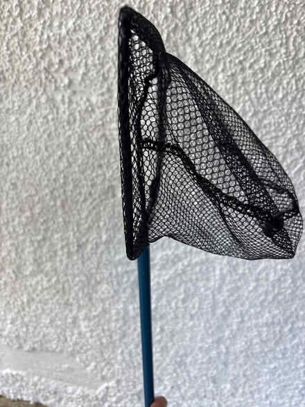 Photo of free Fishing/crabbing net (Ashford, Surrey TW15) #2