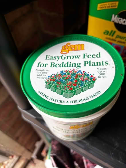 Photo of free Bedding plant food (Ashford, Surrey TW15) #1
