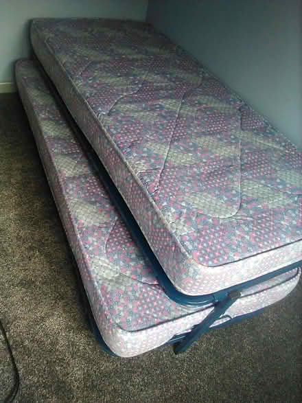 Photo of free single beds (Bonds Cross EX21) #1
