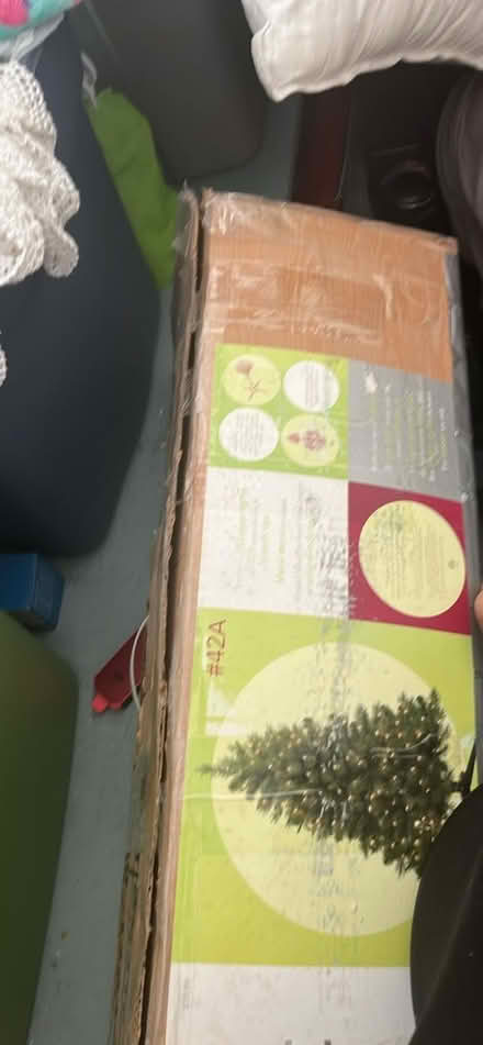 Photo of free tree (Belleville) #1