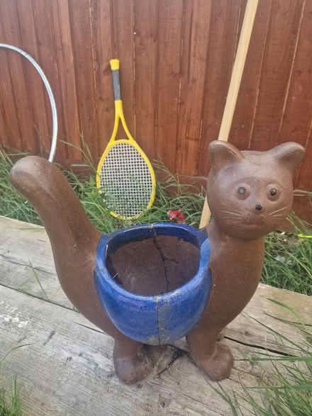 Photo of free Plant pot (Polegate BN26) #1