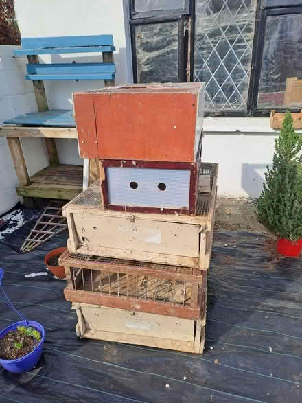 Photo of free Pigeon boxes (Dublin) #1
