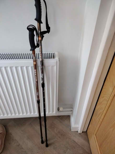 Photo of free Walking Poles (Buxton Central SK17) #1