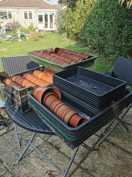 Photo of free Assorted flower pots and trays (CO13) #1