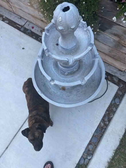 Photo of free Outdoor fountain (West Torrance) #2