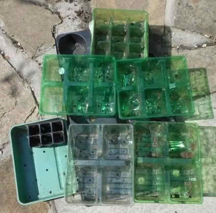 Photo of free plastic seed trays (East Croydon CR0) #1