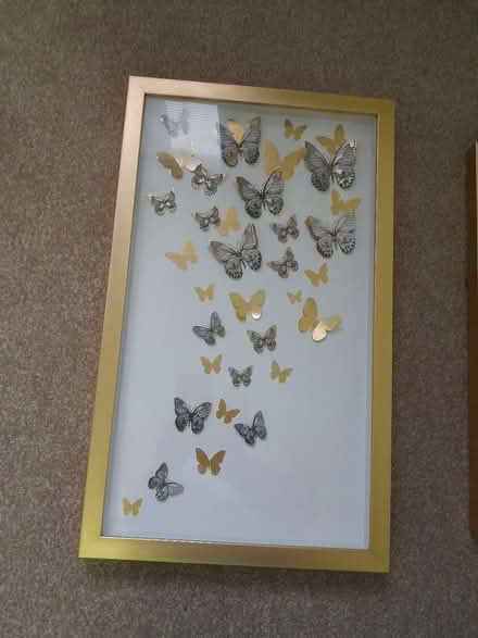 Photo of free 2 Butterfly framed pictures (Holmewood S42) #2