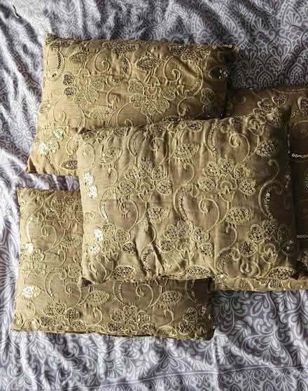 Photo of free 4 x sofa cushions (Coventry, CV3) #1