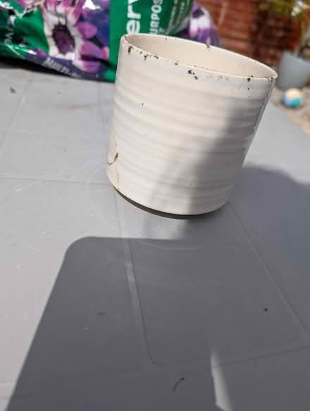 Photo of free Small cream plant pot (Crewe CW1) #1
