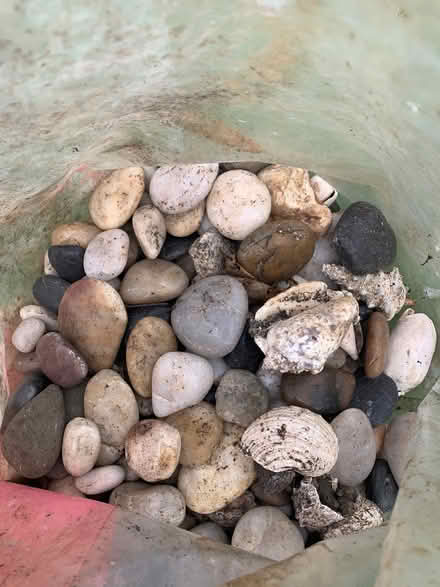 Photo of free Polished pebbles (Harrogate HG1) #1