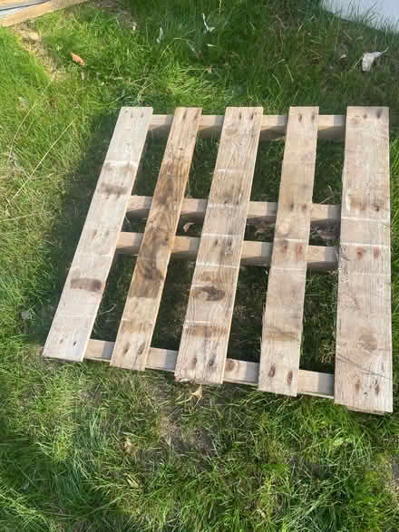 Photo of free Pallet (Horsham) #1