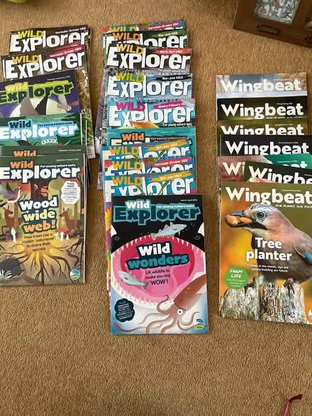 Photo of free RSPB kids magazines (Westoning) #1