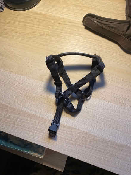 Photo of free Dog harness (Heath and Reach LU7 0AE) #1