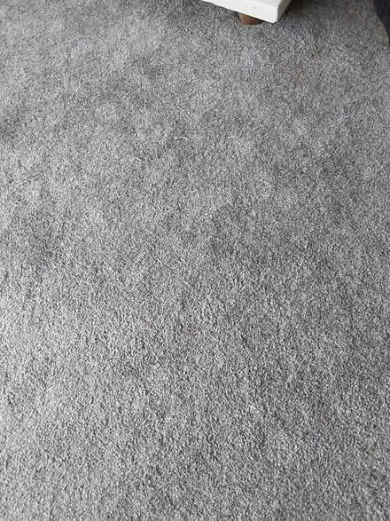 Photo of free 30sq mtrs (Telscombe Cliffs) #1