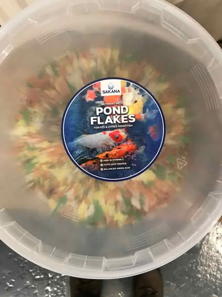 Photo of free Fish food (Bellingham NE48) #1