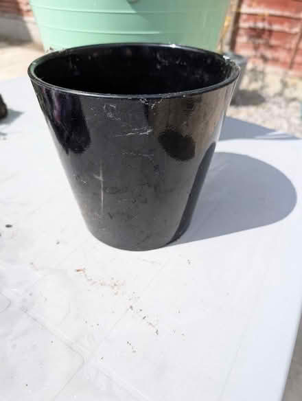 Photo of free Black plant pot (Crewe CW1) #1