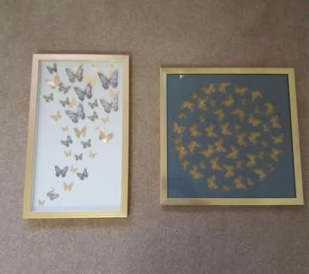 Photo of free 2 Butterfly framed pictures (Holmewood S42) #1