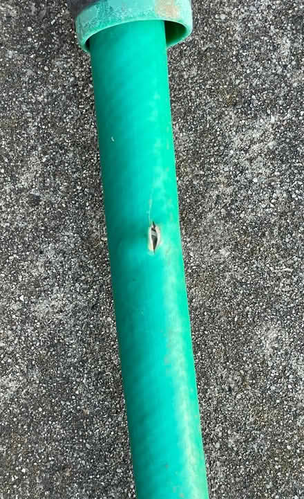 Photo of free 50ft garden hose, needs repair (Near De Anza College) #2