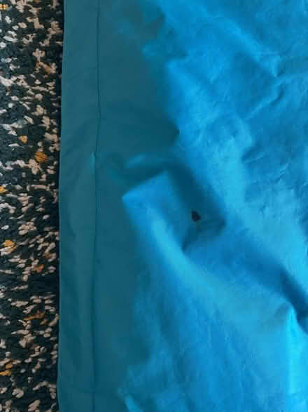 Photo of free Turquoise beanbag (Trinity EH5) #3