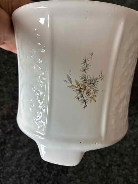 Photo of free House plant pot (Costessey NR8) #1