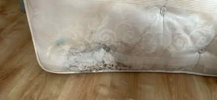 Photo of free Double mattress (BS15 3) #3