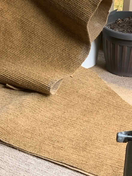 Photo of free Indoor outdoor carpet scraps (South Brampton) #1
