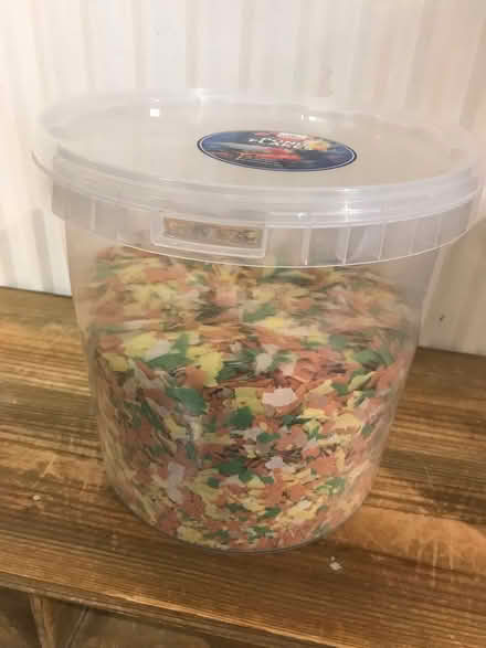 Photo of free Fish food (Bellingham NE48) #2