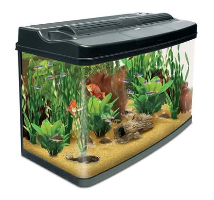 Photo of Fish tank or small aquarium (Letchworth SG6) #1