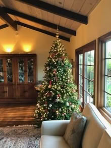 Photo of free Artificial Christmas tree (On the canyon above town) #1