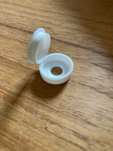 Photo of free Screw covers (St Leonards on Sea TN37) #2