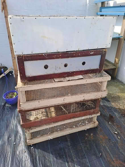 Photo of free Pigeon boxes (Dublin) #2