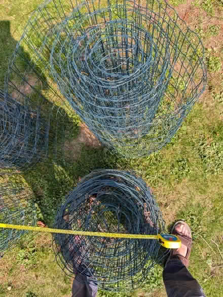 Photo of free Wire mesh fencing (BN18 Arundel road) #3