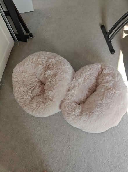 Photo of free Two pink soft cat beds (Wimbledon SW19) #1
