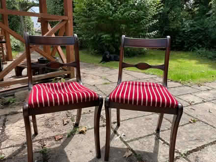 Photo of free Classic dining chairs (Steventon OX13) #2